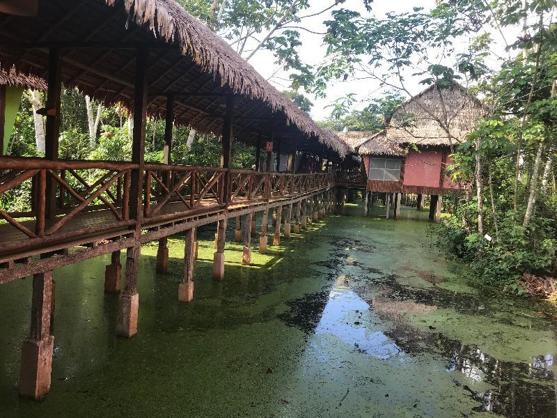 Heliconia Amazon River Lodge Francisco de Orellana Exterior foto